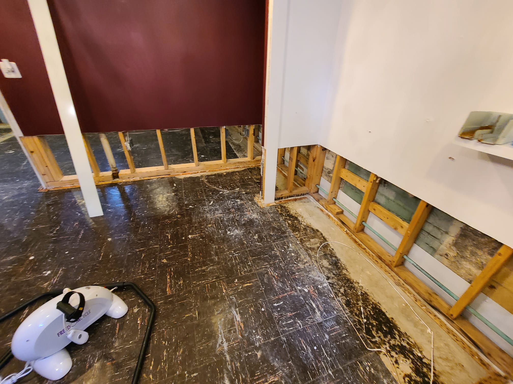 Proyecto de remodelación 248